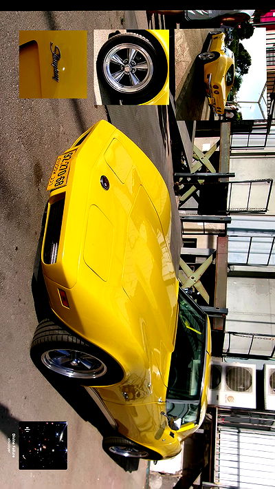 simp_for_cats_ simp_for_cats_ archive video