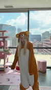 pockycatt Altpins Profile Picture
