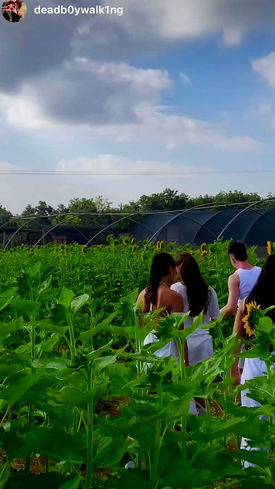 alisa.paigin alisa.paigin archive video