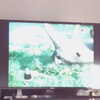 newpoort Altpins Profile Picture