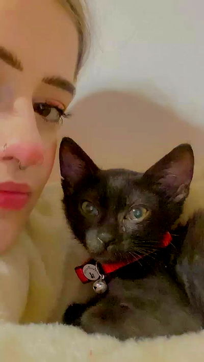 feelbetterinmysweater feelbetterinmysweater archive video