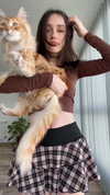 littlemiauwu Altpins Profile Picture