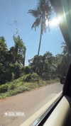 liiuuar Altpins Profile Picture