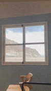 __yaheli_ Altpins Profile Picture