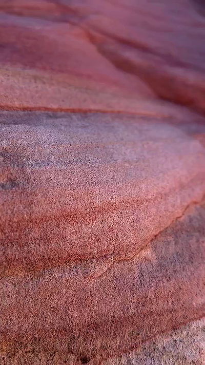 rachelc00k rachelc00k archive video