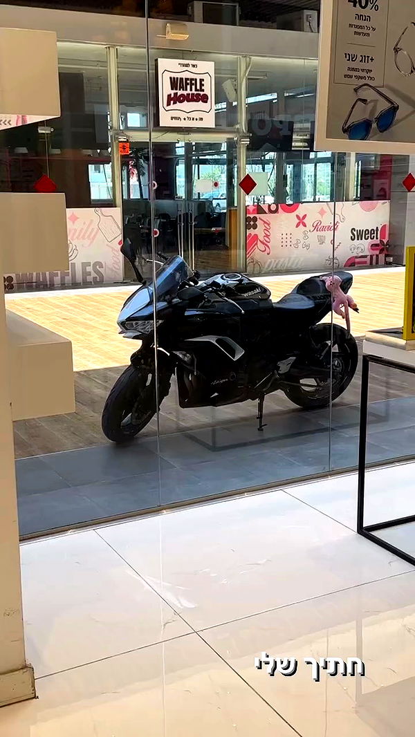 biton__adi archive video preview