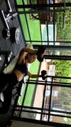 neta_alchimister Altpins Profile Picture