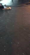 omer._shalom Altpins Profile Picture