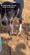 liiuuar Altpins Profile Picture