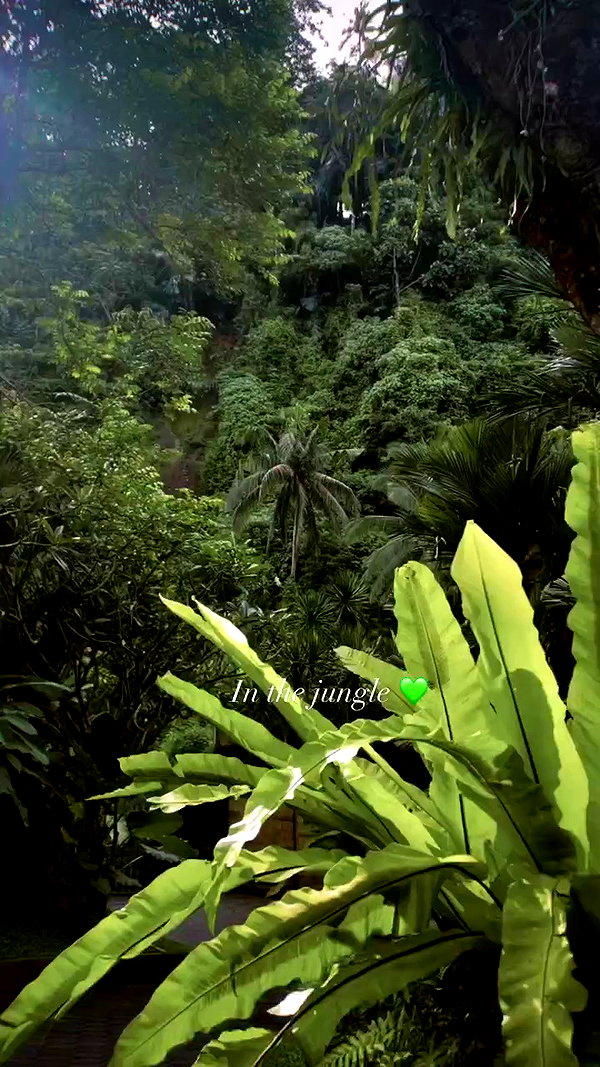 lizakovalenkoo archive video preview