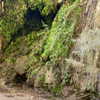 toharsandrusi Altpins Profile Picture