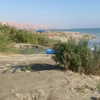 toharsandrusi Altpins Profile Picture