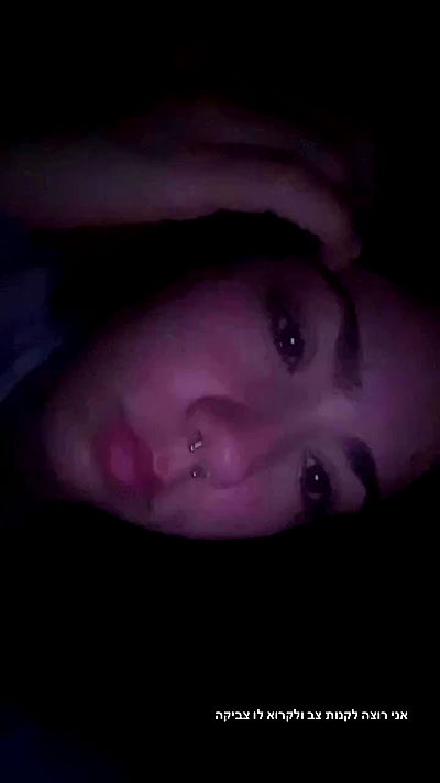 tuliprivet tuliprivet archive video