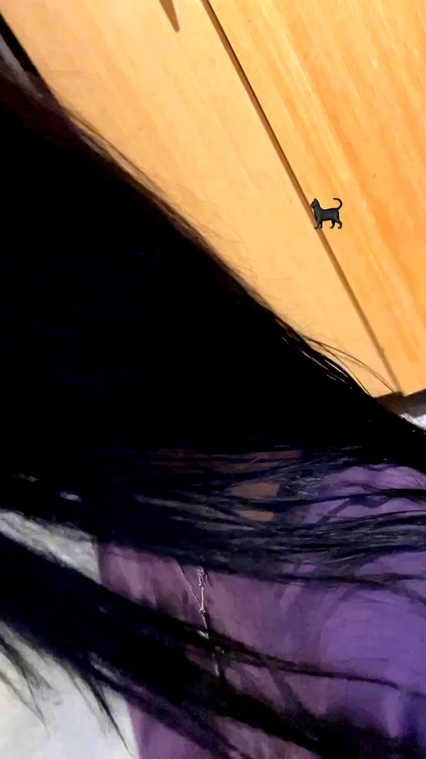 ch111oe archive video preview
