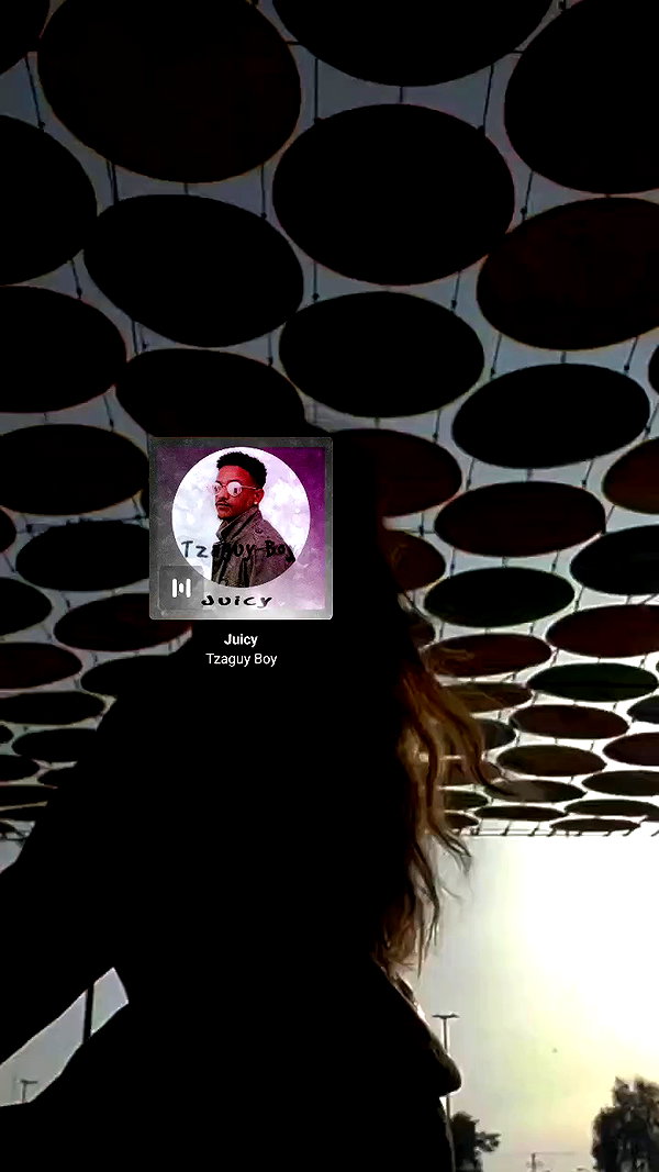 sapi.rberger archive video preview