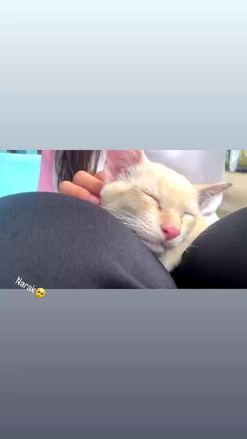 oqr0_ oqr0_ archive video