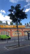 katie_westwood Altpins Profile Picture