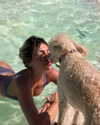 liorelbaz Altpins Profile Picture