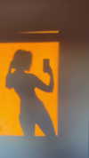vixenp_ Altpins Profile Picture