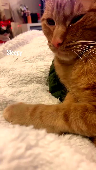 winbun.io winbun.io archive video