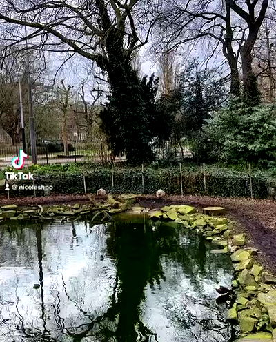 nicole.shpo nicole.shpo archive video