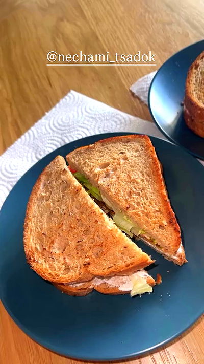 rebecka_tsadok rebecka_tsadok archive video