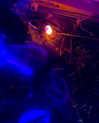 mishel116 mishel116 archive video