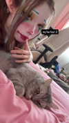 lilicapie Altpins Profile Picture