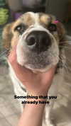toharb_ Altpins Profile Picture