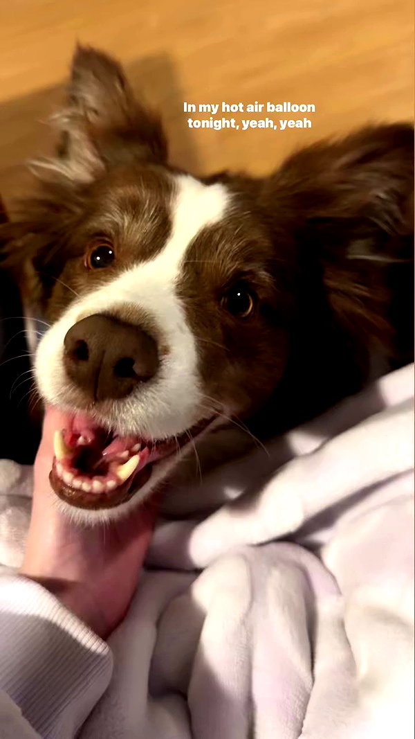 piper.jaylen archive video preview