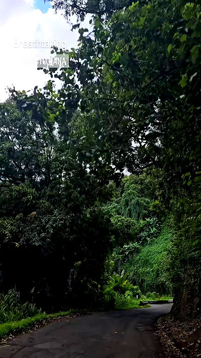 lilith.hecate lilith.hecate archive video