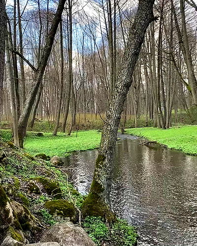 quincymood quincymood archive video