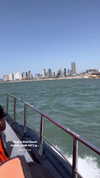 katia_z.k Altpins Profile Picture