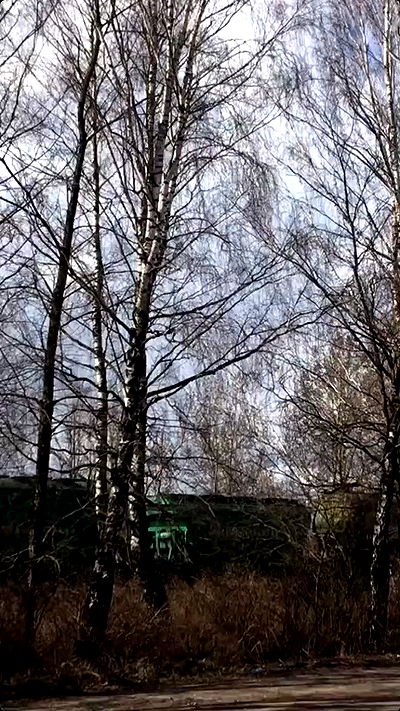 quincymood quincymood archive video