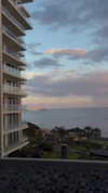 shira_karvat Altpins Profile Picture