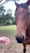 itshollynewton Altpins Profile Picture