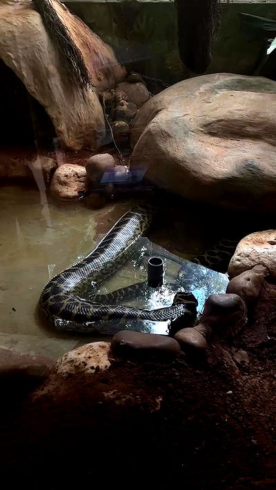 noyaislilith333 noyaislilith333 archive video