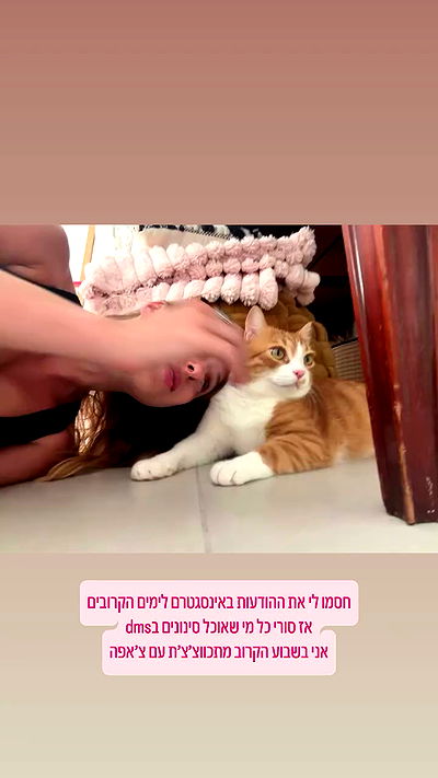 iambohema.v2 iambohema.v2 archive video