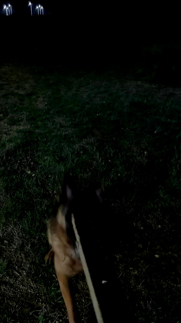 slythershelly archive video preview