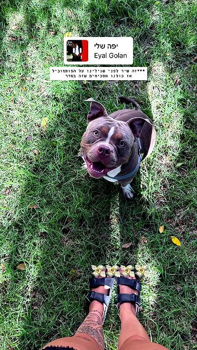 kesemgreenyer kesemgreenyer archive video