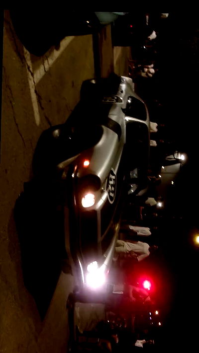 simp_for_cats_ simp_for_cats_ archive video