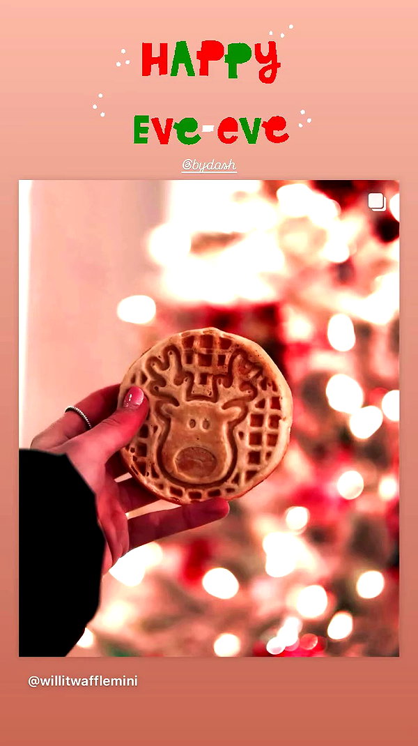 willitwafflemini archive video preview