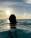 beyonce Altpins Profile Picture