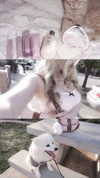 itgirlhan Altpins Profile Picture