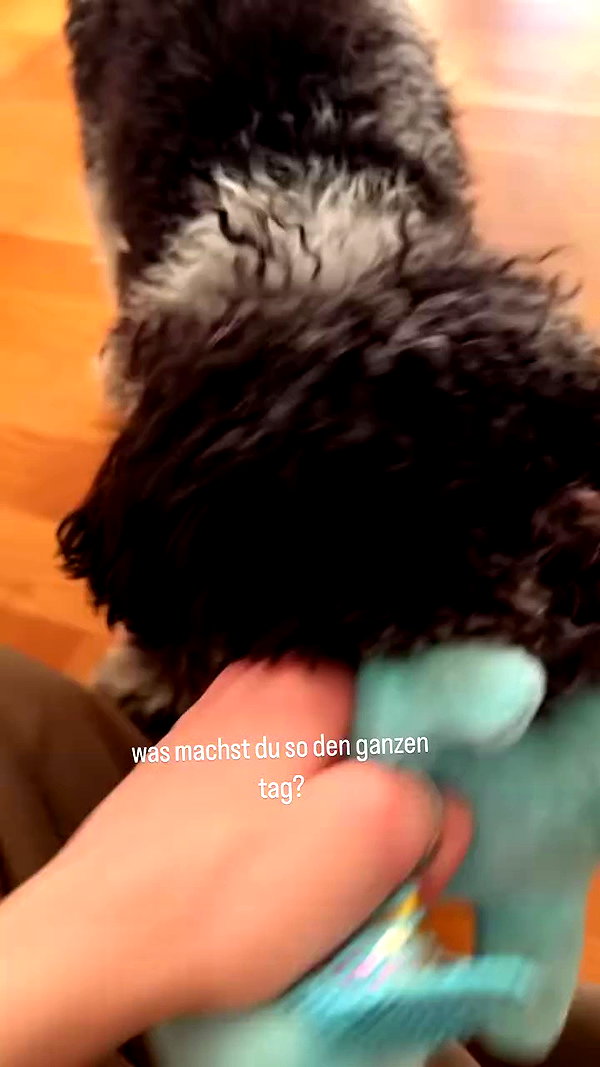 bymonamarie archive video preview