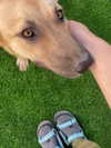annatuy14 Altpins Profile Picture