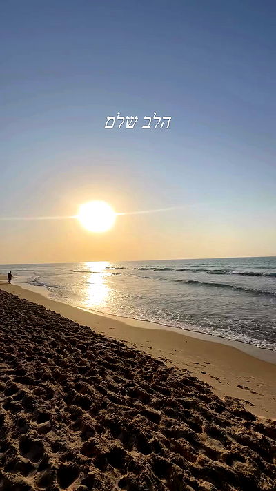 liad.arazi liad.arazi archive video