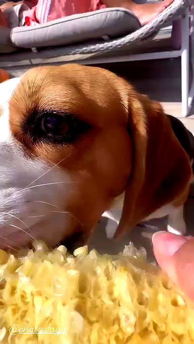 emily.otaku emily.otaku archive video