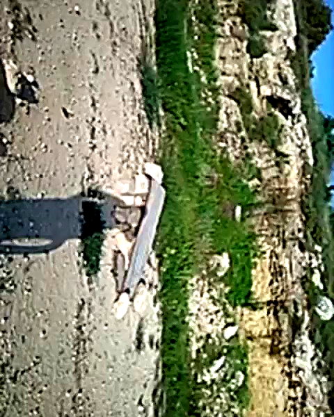 oriiiiix_ archive video preview