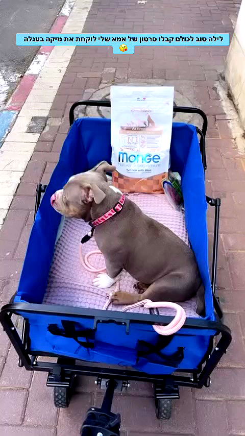 kesemgreenyer archive video preview